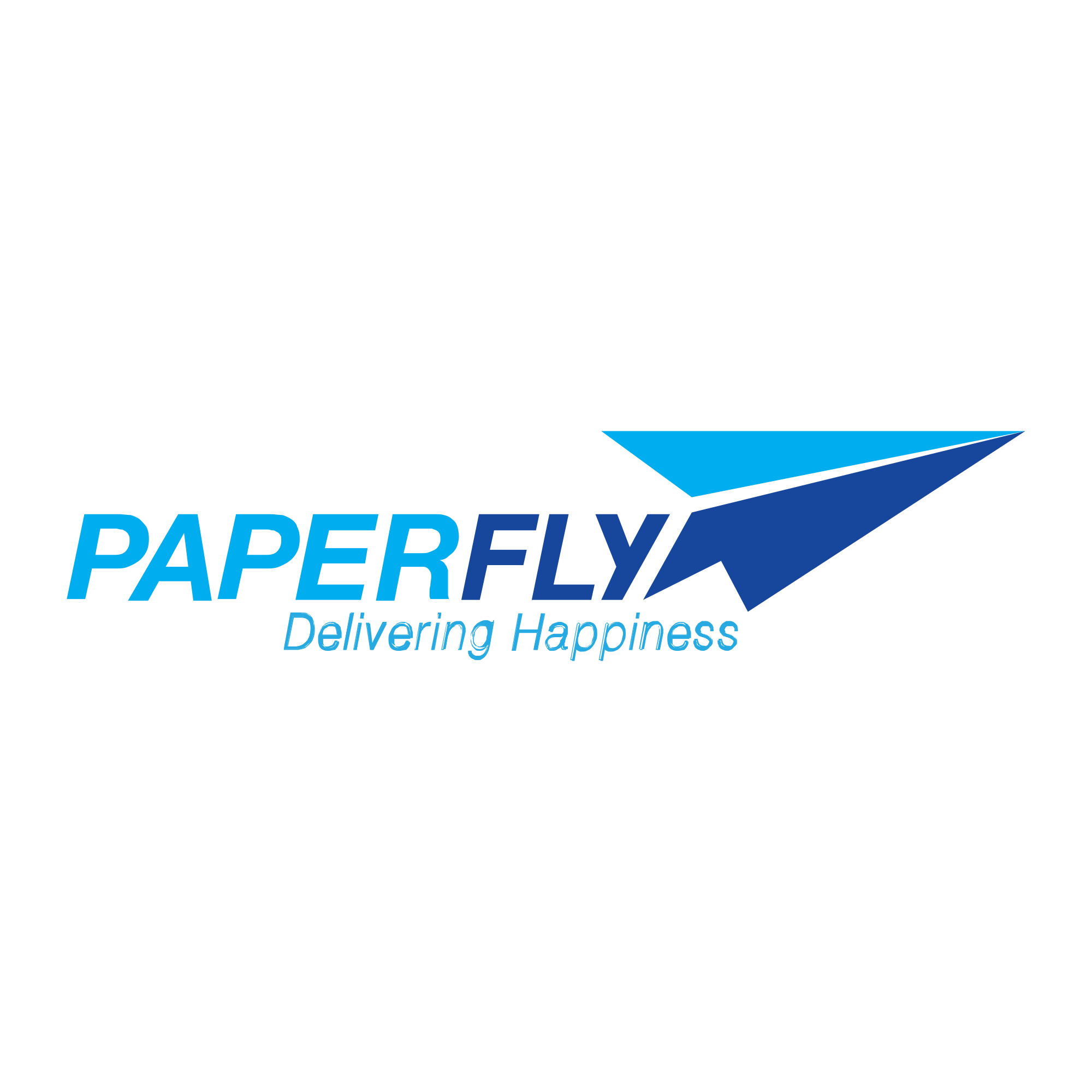 paper fly